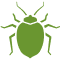 Bed Bugs icon