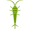 Silverfish icon