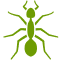 House Ants icon
