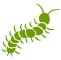 Centipedes icon