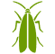 Clothes Moths icon