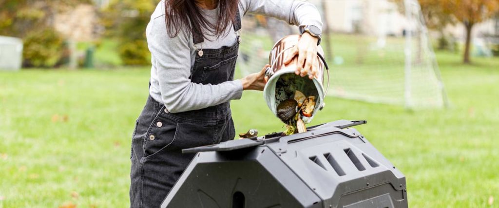 Composting-to-prevent-squash-bugs-1024x427