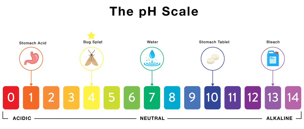 pH-Scale_Infographic