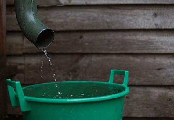 remove-moisture