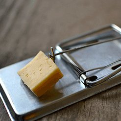 traditional-mousetrap